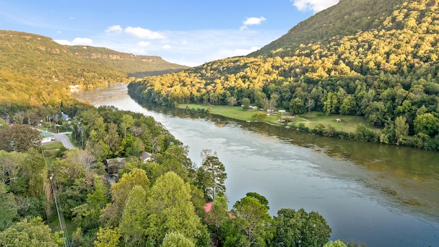 drone / aerial view with a water and mountain view