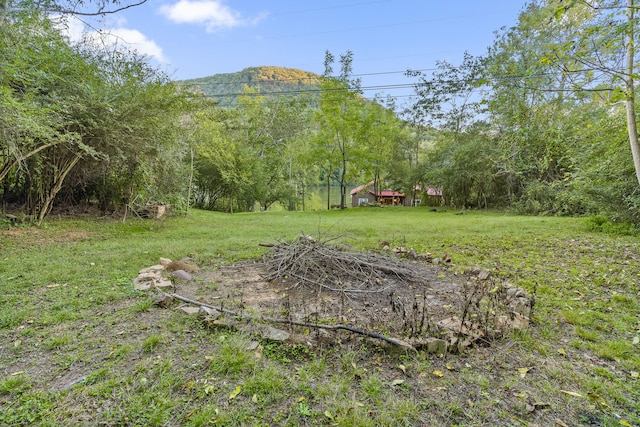 view of yard featuring a mountain view