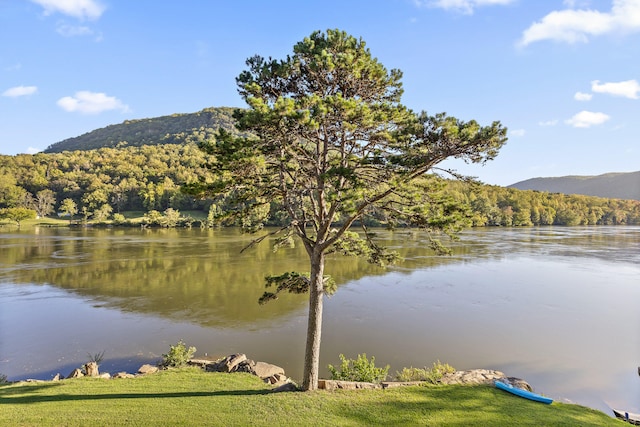 water view featuring a mountain view