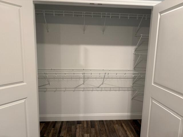 spacious closet with dark wood-type flooring