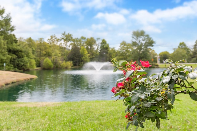 water view