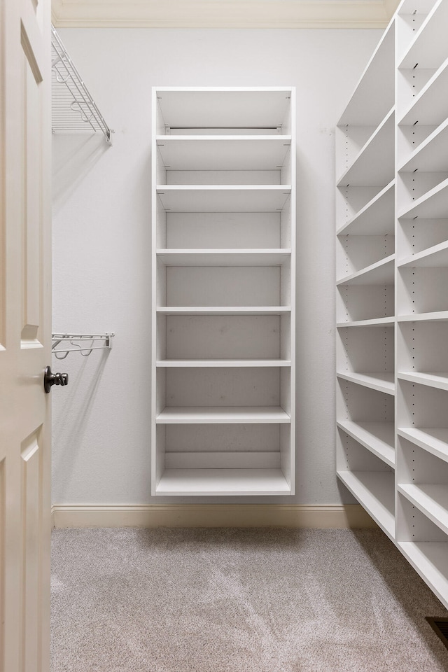 spacious closet with carpet floors