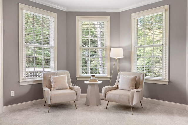 living area featuring ornamental molding and a wealth of natural light