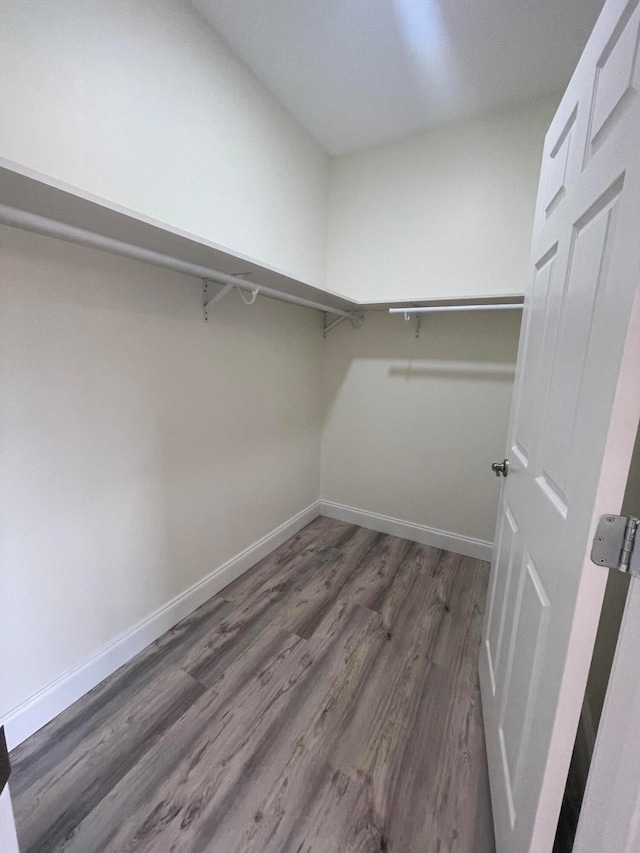 spacious closet featuring dark hardwood / wood-style flooring