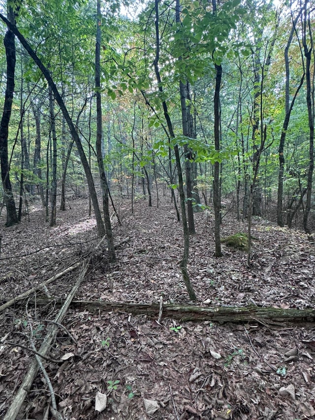 Listing photo 2 for LOT3 Eads Bluff Rd NW, Georgetown TN 37336