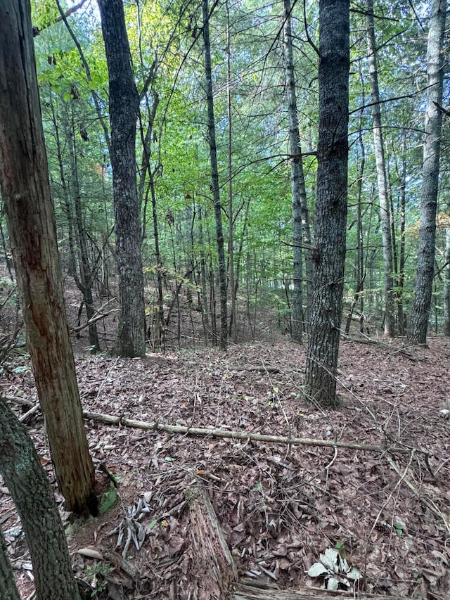 Listing photo 3 for LOT3 Eads Bluff Rd NW, Georgetown TN 37336