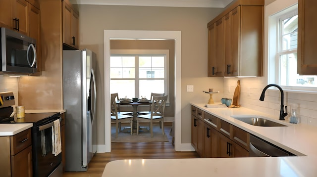 kitchen featuring light hardwood / wood-style flooring, sink, a healthy amount of sunlight, and stainless steel appliances