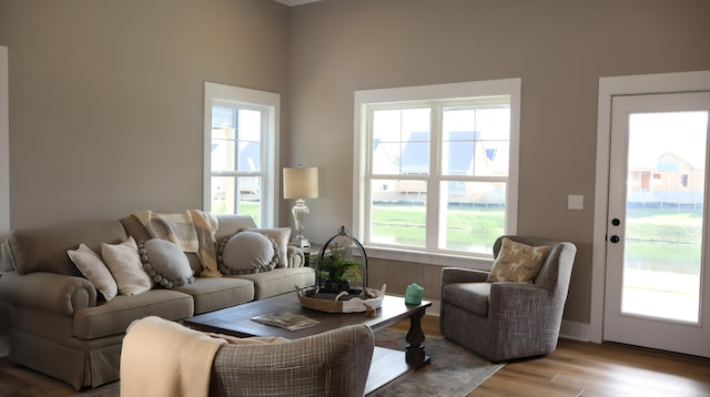 living room with light hardwood / wood-style floors