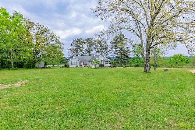 view of yard