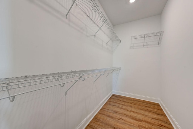 spacious closet featuring hardwood / wood-style floors