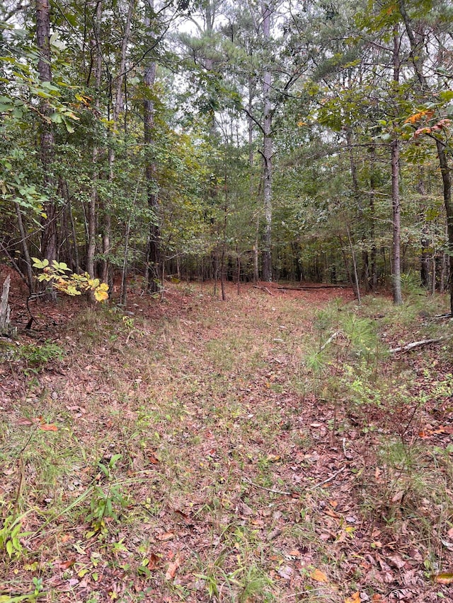 0 County Rd Unit 520, Mentone AL, 35984 land for sale