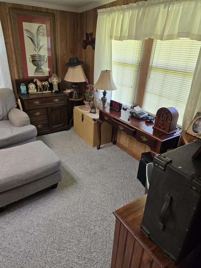 office area featuring crown molding, wood walls, and carpet