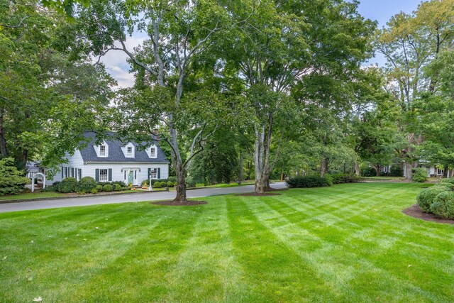 2050 Harle Ave NW, Cleveland, TN 37311 - view of yard