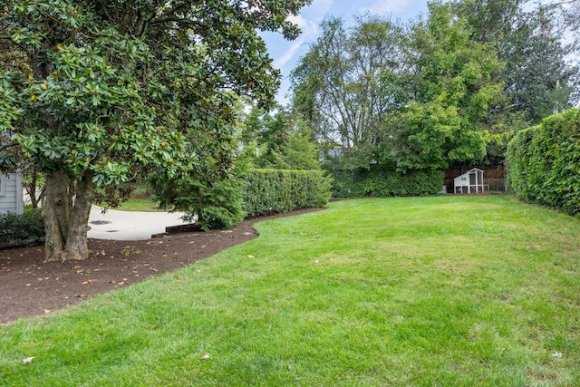 view of yard with an outdoor structure