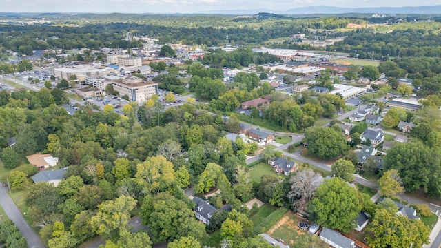 bird's eye view