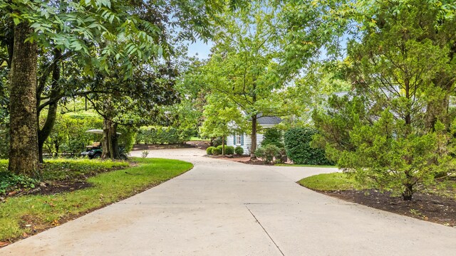 2050 Harle Ave NW, Cleveland, TN 37311 - view of property's community with curved driveway