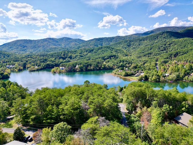 water view featuring a mountain view