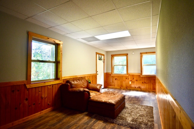 living area with a drop ceiling, dark hardwood / wood-style floors, and plenty of natural light