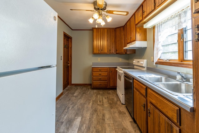 kitchen featuring white appliances, dark hardwood / wood-style flooring, ceiling fan, ornamental molding, and sink