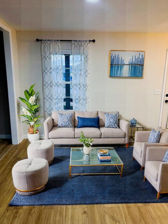 living room with hardwood / wood-style floors