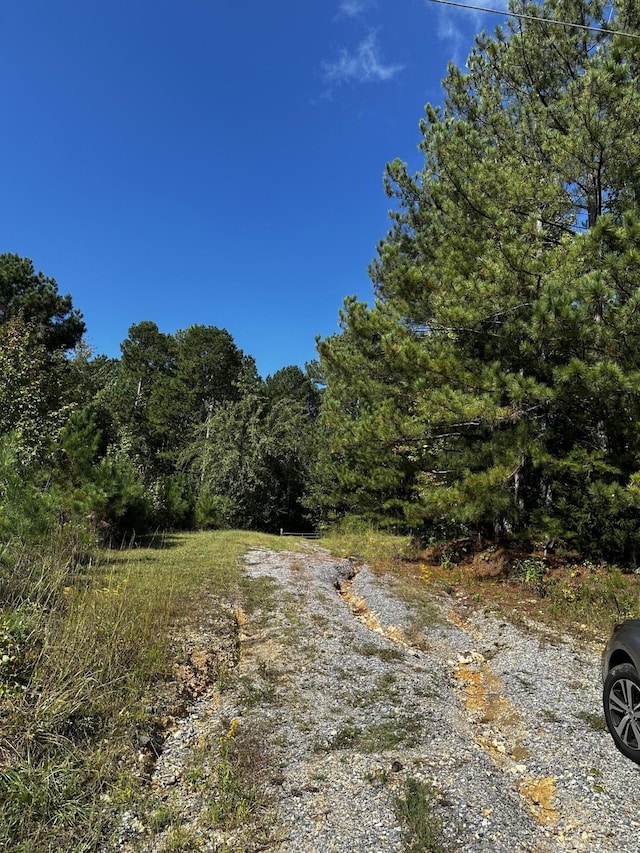 view of local wilderness