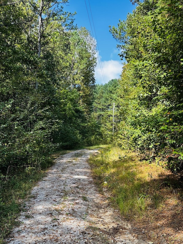 view of road