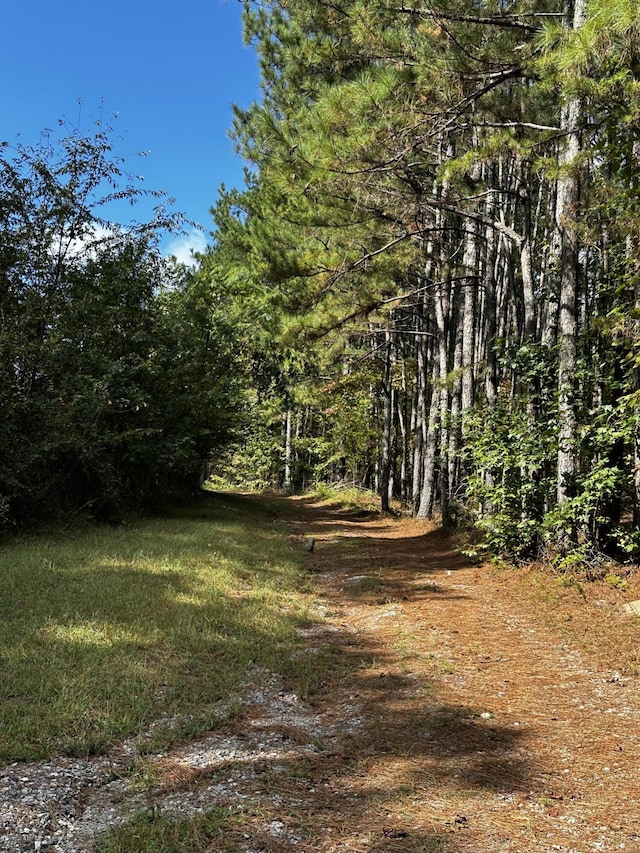 view of local wilderness