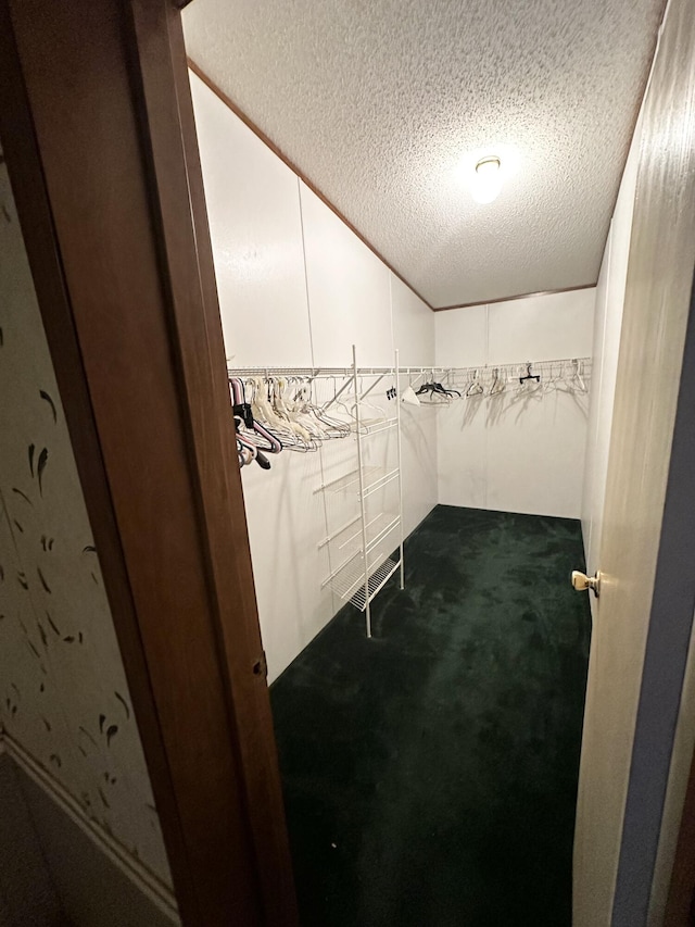 walk in closet with vaulted ceiling and carpet floors