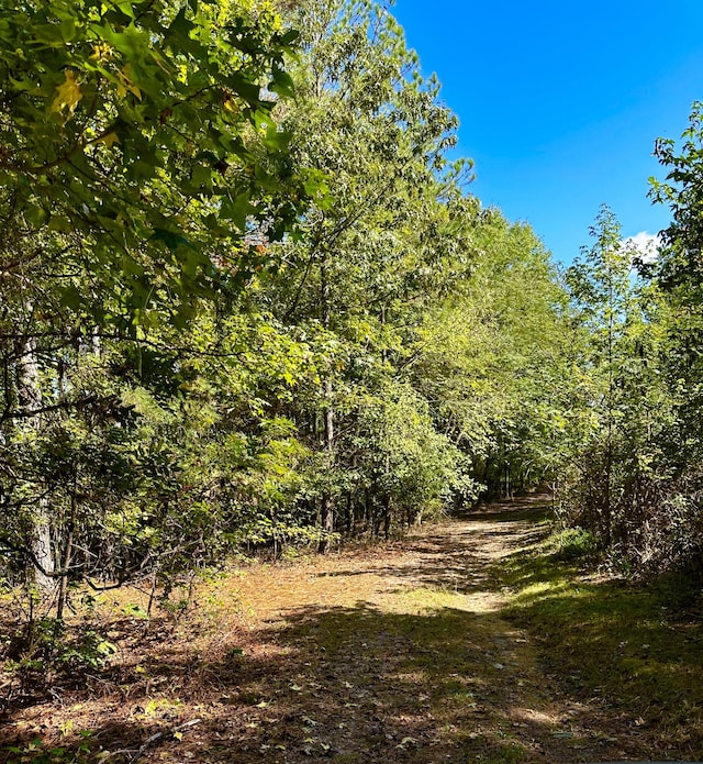 view of local wilderness