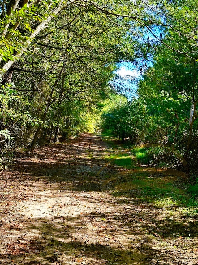 view of nature