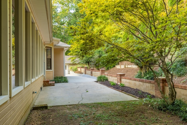 view of yard with a patio area