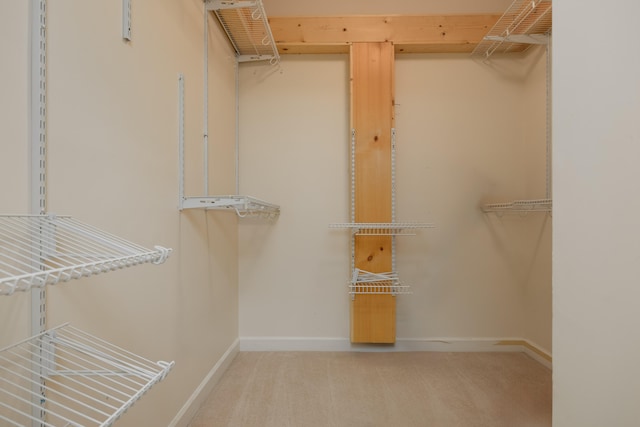 spacious closet with carpet floors