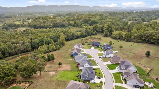 birds eye view of property with a mountain view