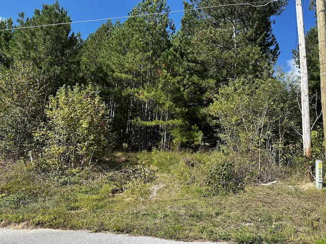 0 E Teems Rd, Ringgold GA, 30736 land for sale