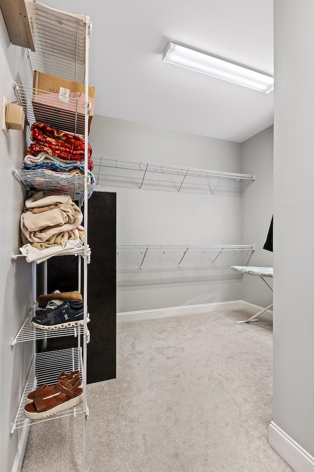 walk in closet featuring carpet floors