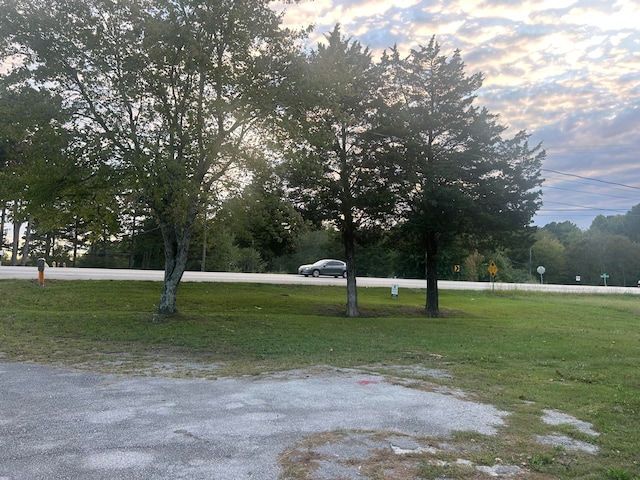 view of yard at dusk