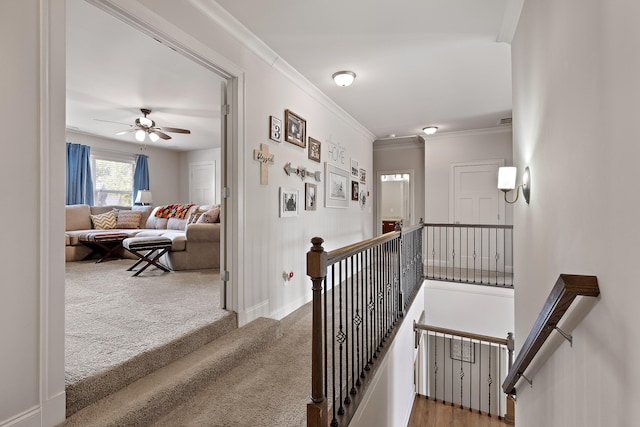 staircase featuring carpet flooring, ornamental molding, and ceiling fan