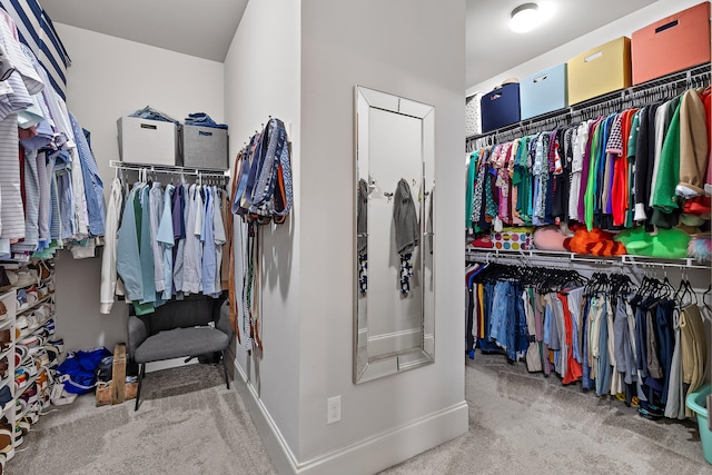 walk in closet featuring carpet flooring