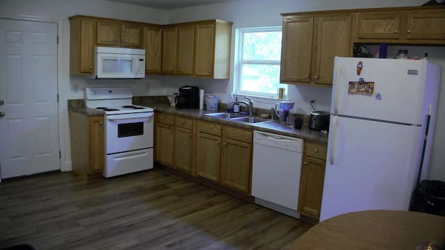 kitchen with dark wood-type flooring, sink, and white appliances