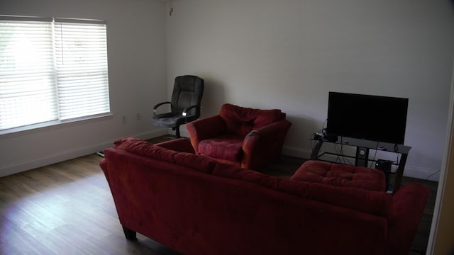 living room with hardwood / wood-style floors