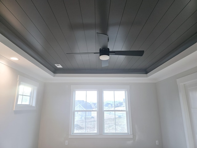 room details with a tray ceiling and ceiling fan