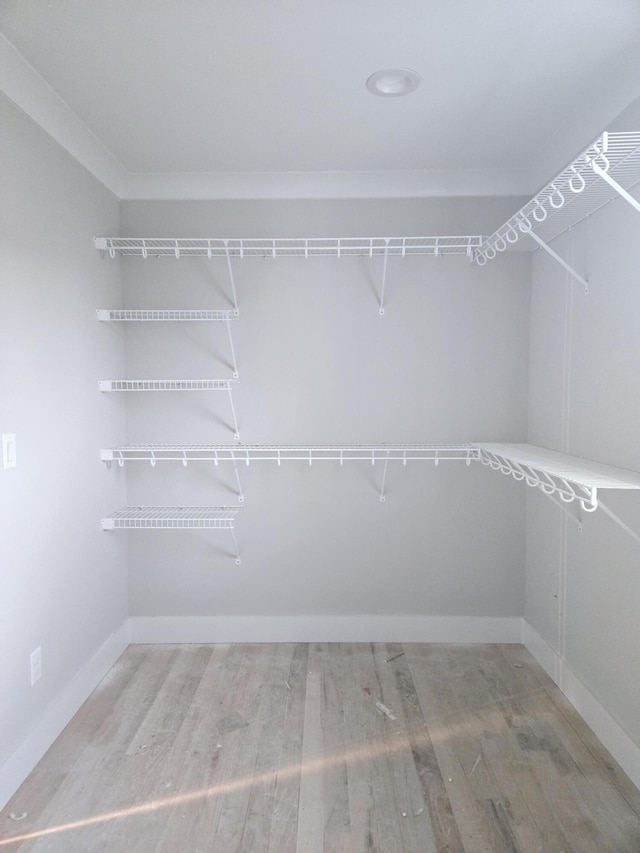 walk in closet with wood-type flooring