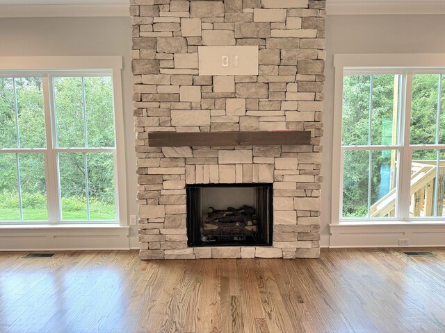 283 Quartz Dr Unit 22, Chickamauga, GA 30707 - detailed view of a fireplace, wood finished floors, and crown molding