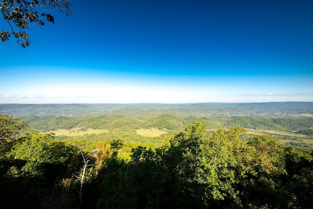 bird's eye view featuring a view of trees