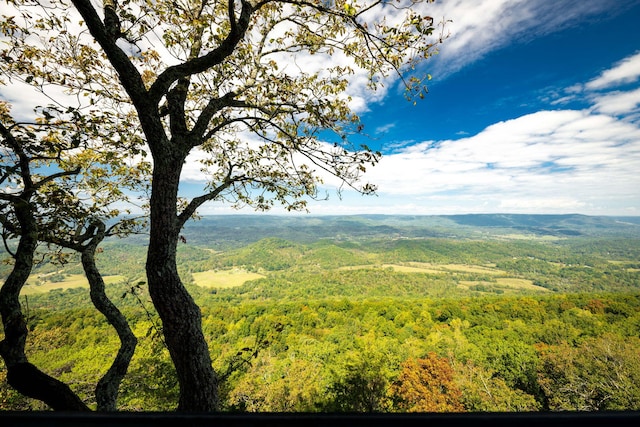 exterior space with a mountain view and a view of trees