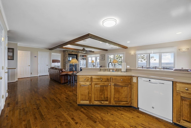 kitchen with dishwasher, light countertops, open floor plan, and a sink