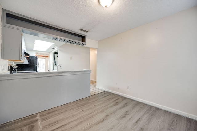 interior space with sink, light hardwood / wood-style flooring, a textured ceiling, and a skylight