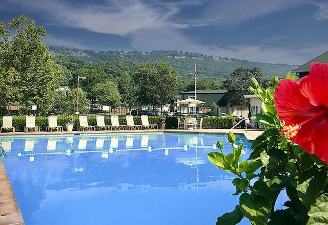 900 Mountain Creek Rd Unit K 143, Chattanooga, TN 37405 - pool featuring a wooded view and fence