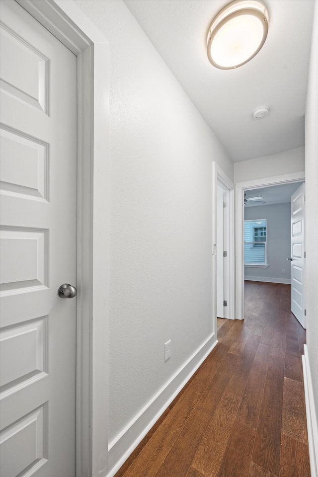 corridor featuring dark hardwood / wood-style flooring