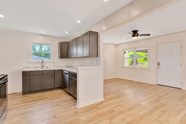 kitchen featuring stainless steel dishwasher, a sink, light wood-style flooring, and plenty of natural light